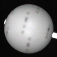 PingpongSpin