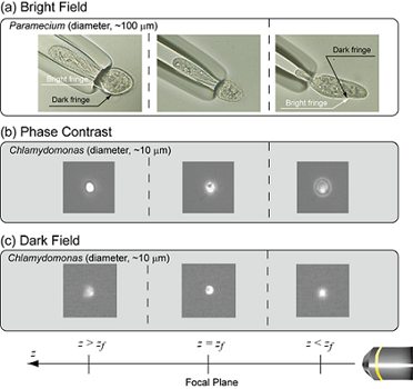 the comparison of three images observed by each different method