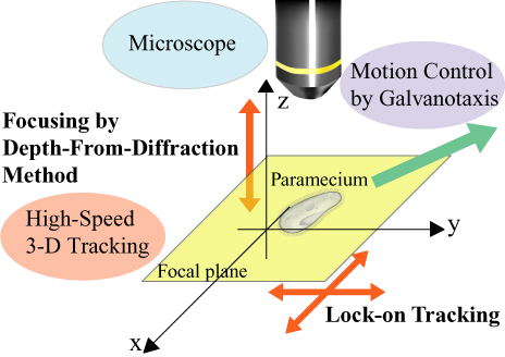 The concept of motion control of microorganisms in three-dimension.