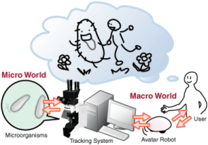 Interaction between microorganisms and humans.