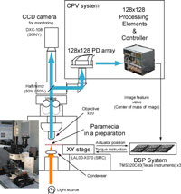 MVF system diagram