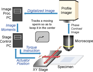 System configuration.