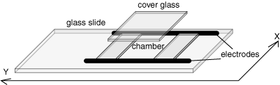 electric stimulus input device